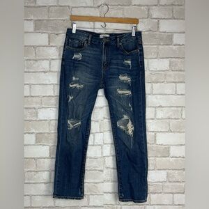 JBD Just Black Denim Distressed Jeans Size 29